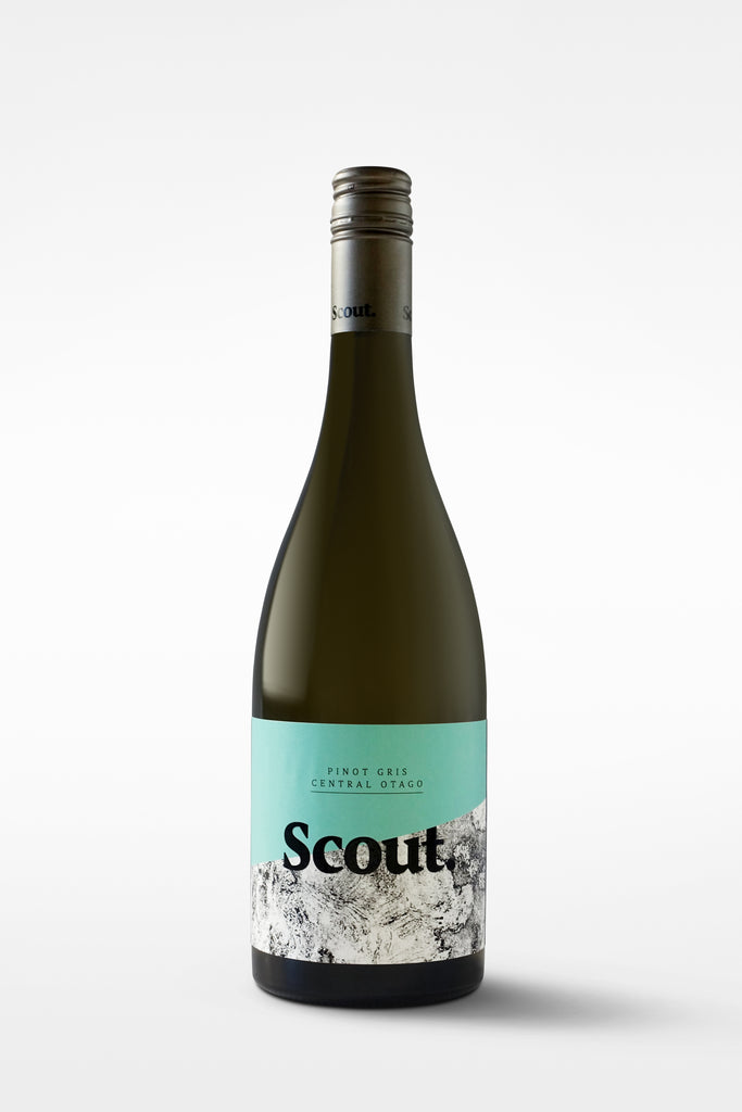 Scout Pinot Gris 2023
