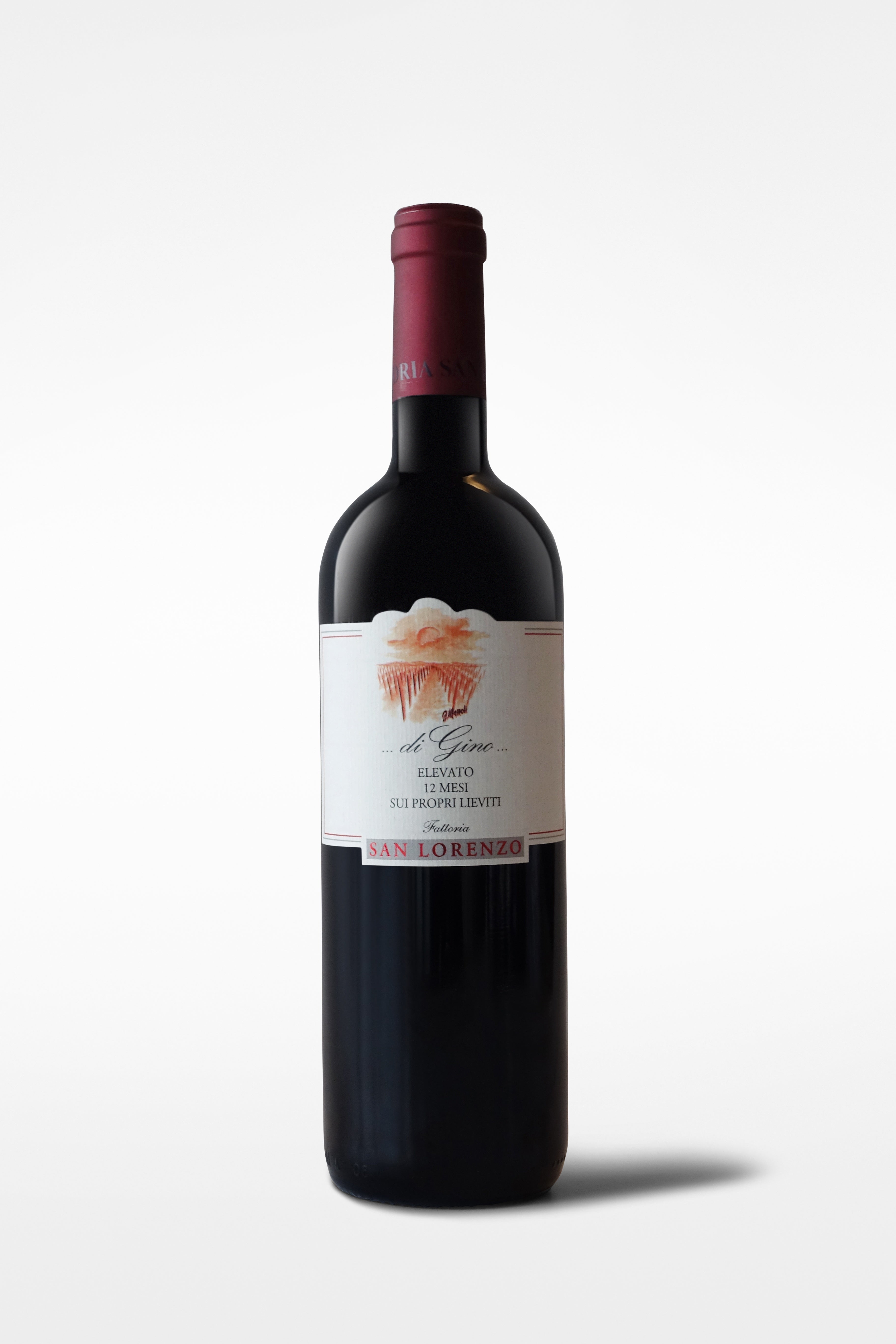 San Lorenzo di Gino Piceno Rosso 2022