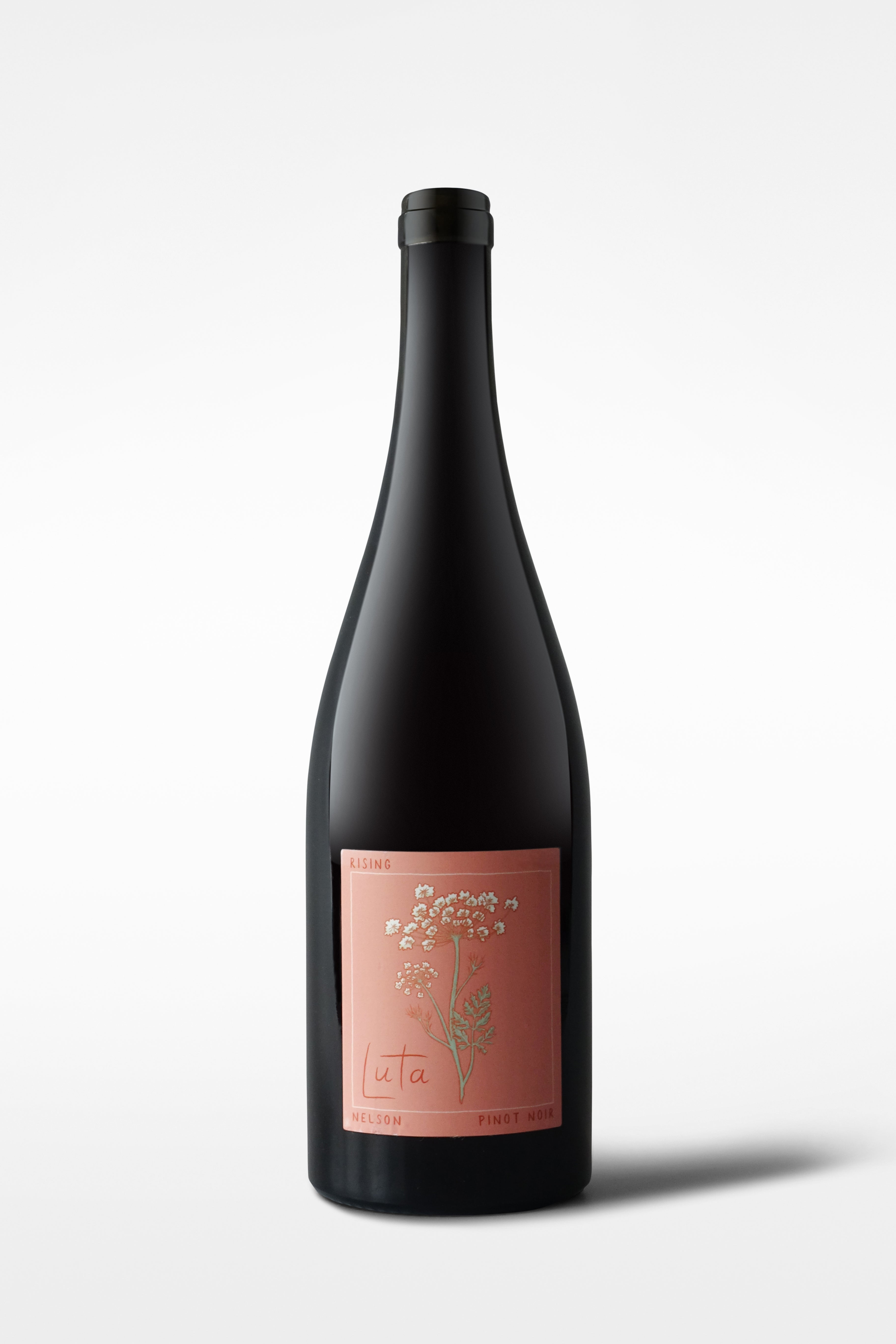 Luta Rising Pinot Noir 2022